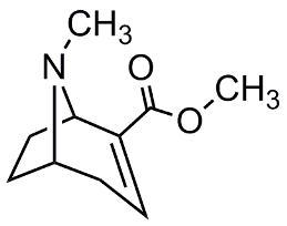 Image de Anhydroecgonine methylester.HBr