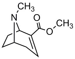 Bild von Anhydroecgonine methylester.HBr