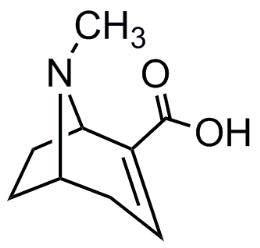 Bild von Anhydroecgonine.HCl