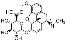Bild von Codeine-6-beta-D-glucuronide.TFA