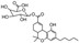 Bild von d,l-11-Nor-delta9-THC carboxylic acid glucuronide (mix of isomers)