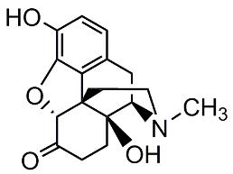 Bild von Oxymorphone