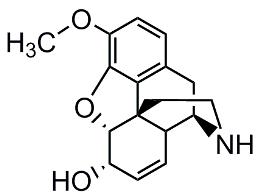 Bild von Norcodeine