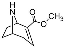 Picture of Noranhydroecgonine methylester.HBr