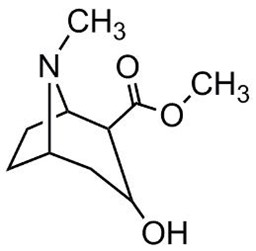 Bild von Ecgonine methylester.HCl