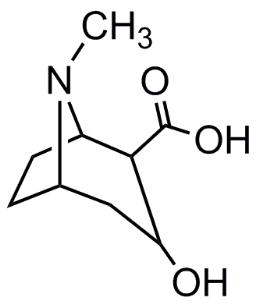 Bild von Ecgonine.HCl