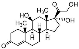 Bild von Cortisol