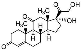 Bild von Cortisone