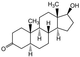 Bild von 5alpha-Dihydrotestosterone